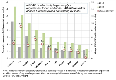 NREAP Bioelectricity Target